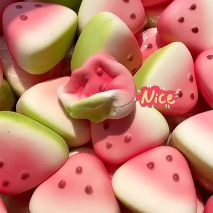 Watermelon Squishy Toy